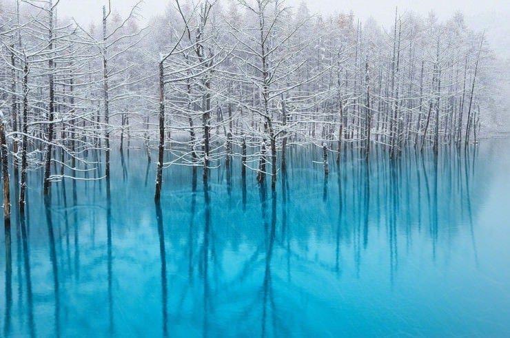 برکه آبی فراطبیعی در Biei، ژاپن