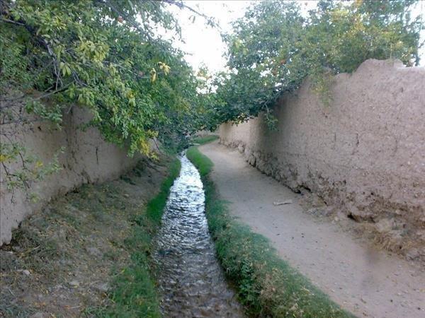 تخریب رو به افزایش باغات مهریز تخریب رو به افزایش باغات مهریز