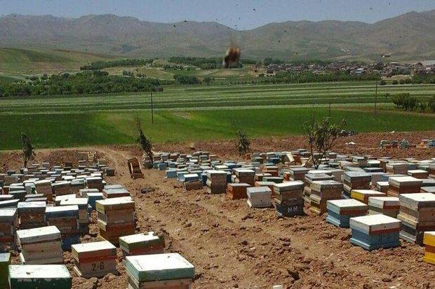 9500 کلنی زنبور عسل در شهرستان بهار موجود است