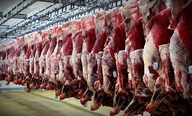 سالانه 6500 تن گوشت قرمز در دامغان فراوری می گردد