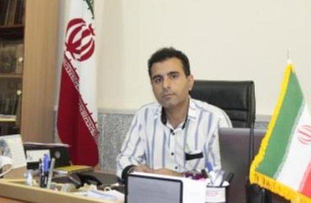 فرهاد قلی نژاد مدیرکل محیط زیست استان بوشهر شد