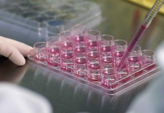 7 محصول جدید در حوزه سلول درمانی آماده دریافت مجوز از سازمان غذا و دارو