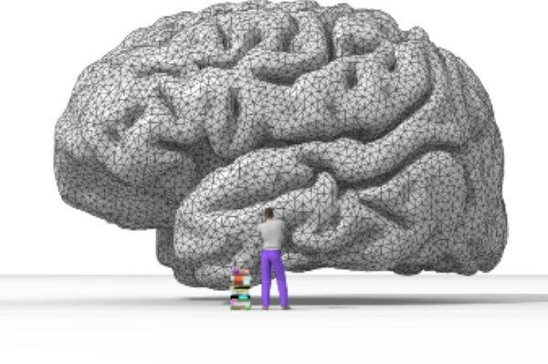 نفرات برتر مسابقه دانش مغز معرفی شدند