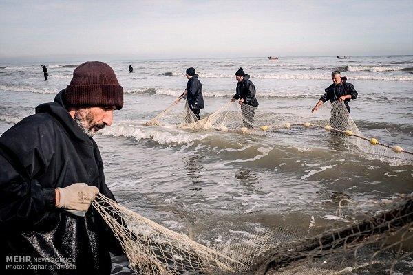 صید 1600 تن انواع ماهیان استخوانی در مازندران