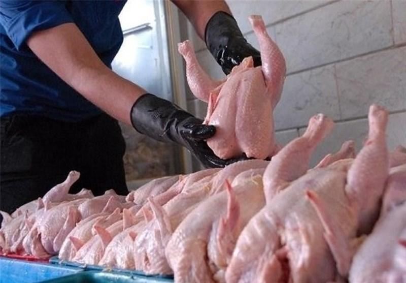 یک مقام مسئول در گفت وگو با خبرنگاران بیان نمود؛ آخرین تحولات بازار مرغ، قیمت مرغ به 16 هزار تومان رسید