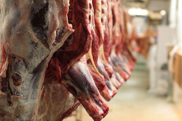 توزیع 50 تن گوشت گرم به قیمت مصوب تنظیم بازار در هرمزگان