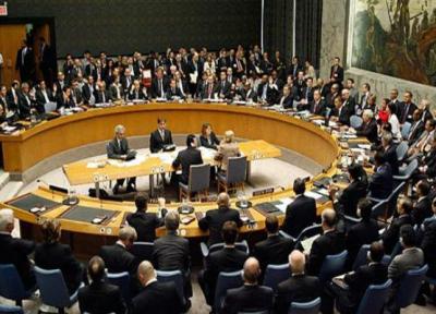 شورای امنیت برای بررسی اوضاع سودان تشکیل جلسه می دهد