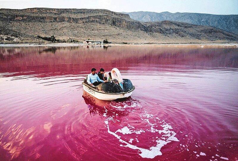 قرمزی آب دریاچه مهارلو شیراز ناشی از جلبک بی خطر است