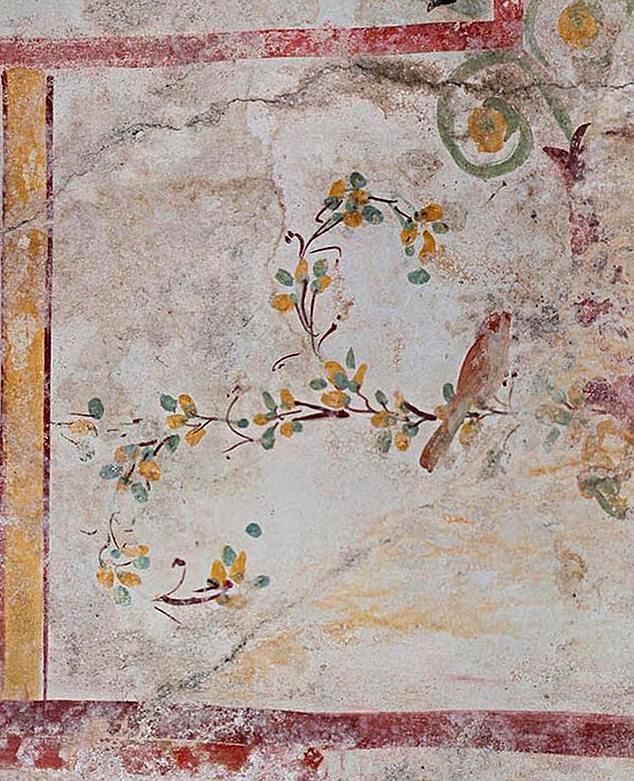 کشف اتاقی اسرار آمیز با دیوارنگاره های زیبا پس از 2 هزارسال در بنایی باستانی درایتالیا