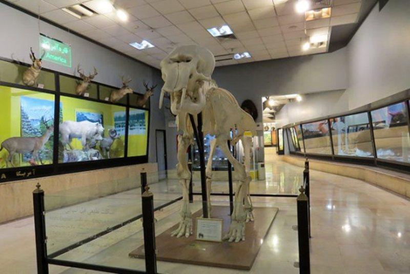 سه روز بازدید رایگان از موزه تنوع زیستی پارک پردیسان