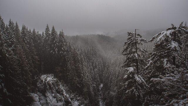 گاهی از عکاسی منظره لذت ببرید و همیشه به دنبال پول نباشید!