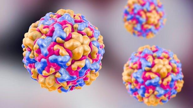 استفاده از ویروس سرماخوردگی برای درمان سرطان مثانه