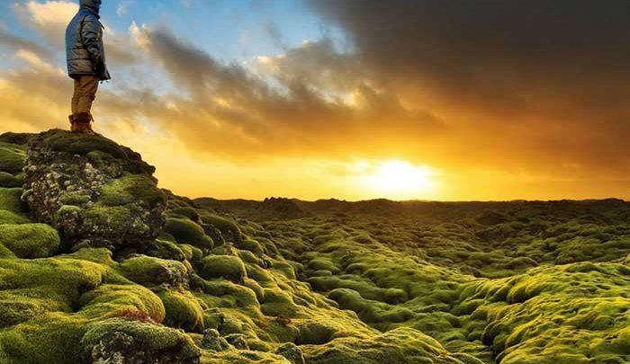 جزیره خزه ای؛یکی از محبوب ترین جاذبه های توریستی ایسلند، تصاویر