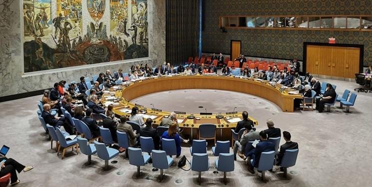 شورای امنیت بار دیگر درباره عملیات ترکیه در سوریه تشکیل جلسه می دهد