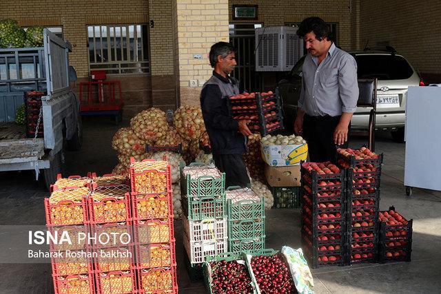 میدان میوه و تره بار الغدیر اهواز تعطیل نمی شود ، دلالان میدان میوه و تره بار الغدیر اهواز تعطیل نمی شود ، دلالان حذف می شوند
