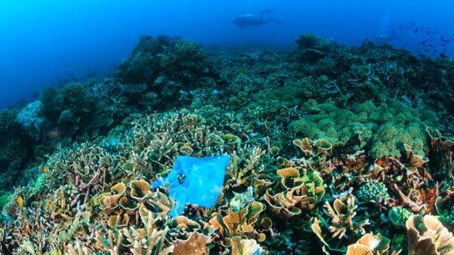 قطعنامه جلوگیری از ورود زباله پلاستیکی به اقیانوس ها امضا می گردد