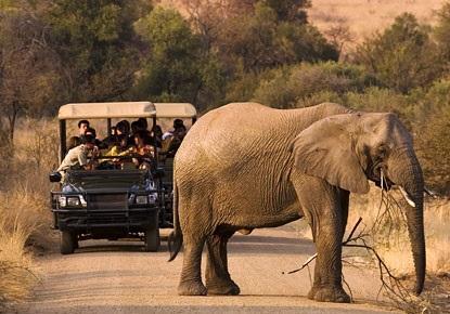 پارک ملی پیلانسبرگ در افریقای جنوبی