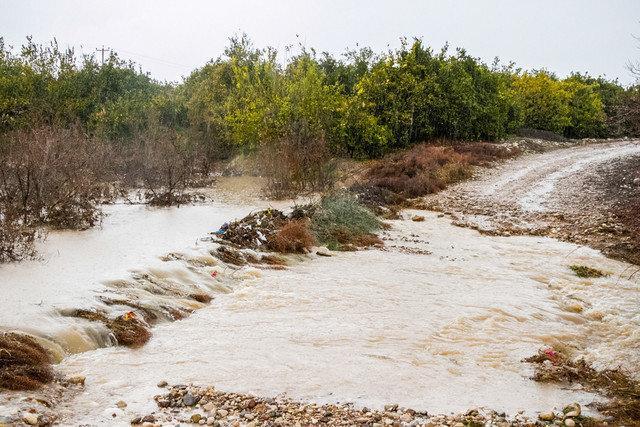 خسارت 199.5 میلیارد تومانی باران و تگرگ به کشاورزی منطقه ترشیز