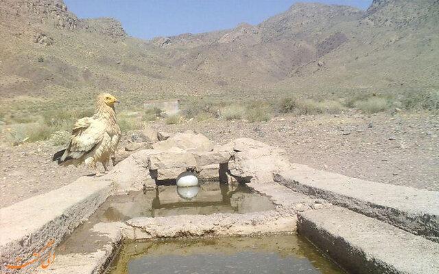 ورود به پناهگاه حیات وحش بختگان ممنوع است