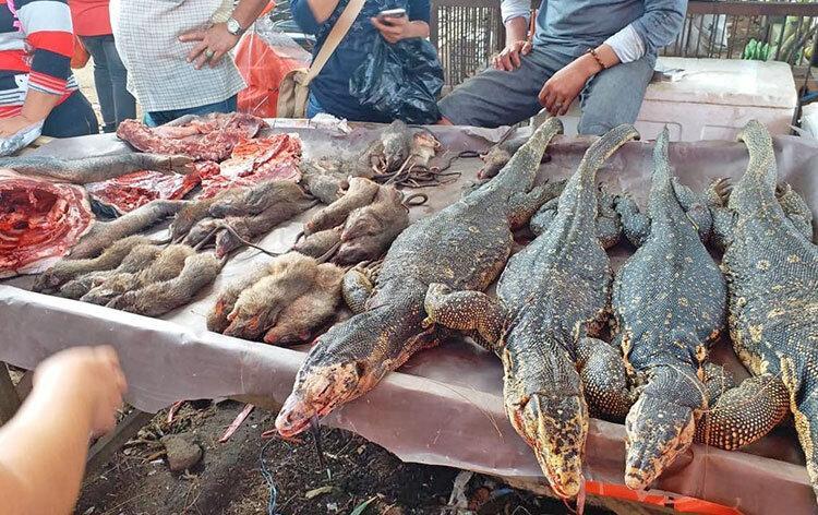 کرونا فراموش شد ، ادامه فعالیت بازار فروش جانوران زنده و وحشی در آسیا