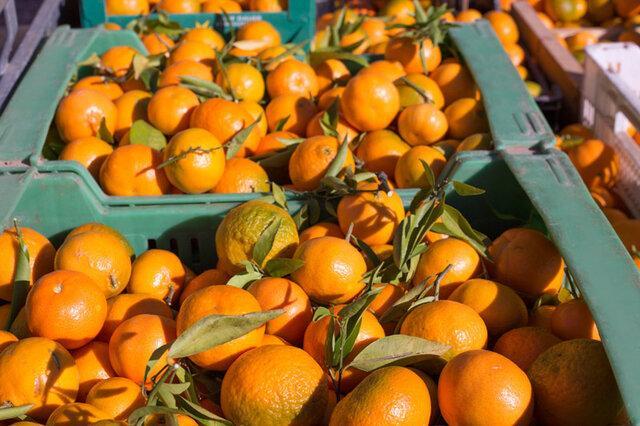 بازار آب پرتقال در آمریکا سکه شد