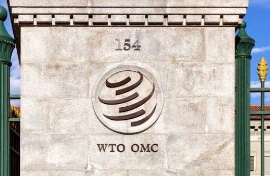 چه کسی بر کرسی رابرت آزودو در WTO تکیه خواهد زد؟