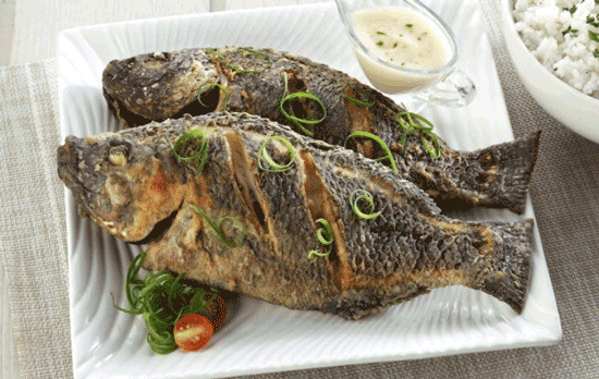 آیا مصرف ماهی تیلاپیا خطرناک است؟