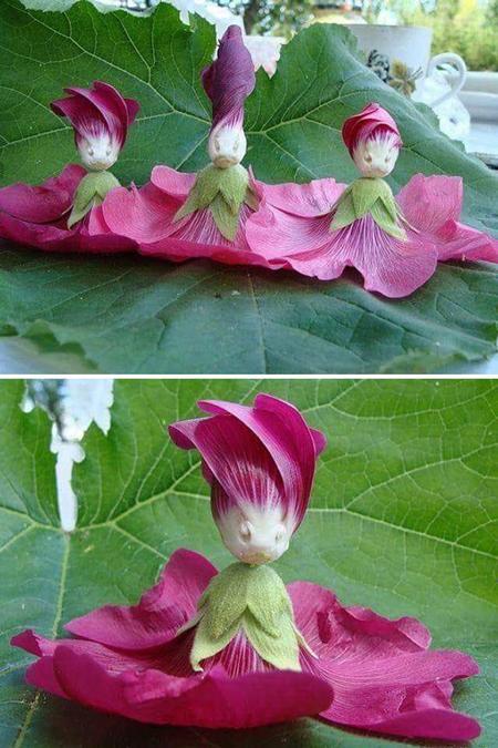 توهم های جالبی که در اشیای روزمره می بینیم!