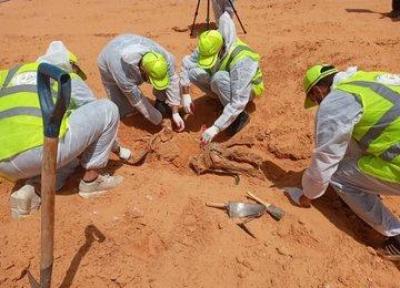 دولت وفاق لیبی از کشف یک گور جمعی جدید در ترهونه اطلاع داد