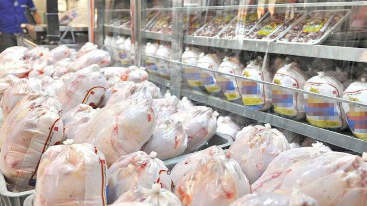 500 هزار قطعه مرغ در بازار توزیع می شود 500 هزار قطعه مرغ در بازار توزیع می شود