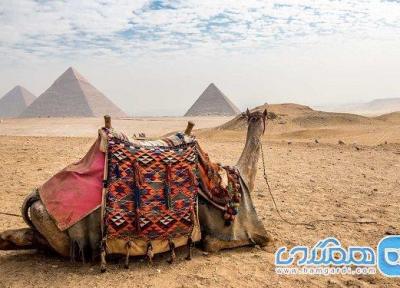 راهنمای سفر به قاهره مصر؛ دنیایی از عجایب و شگفتی ها