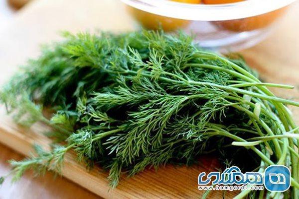 چربی خونی ها این سبزی را زیاد مصرف کنند!