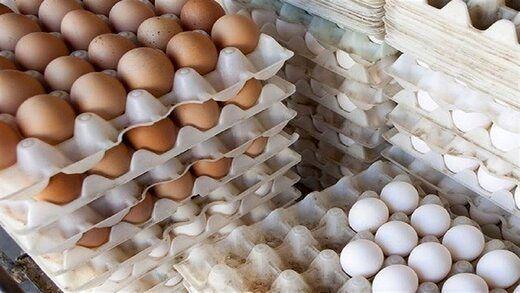 معین قیمت جدید برای تخم مرغ توسط سازمان حمایت از مصرف کنندگان و تولیدکنندگان