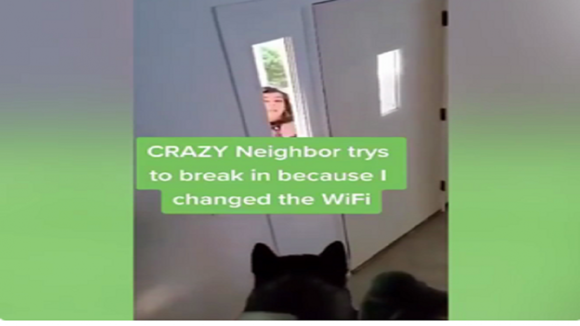 تهدید به کشتن سگ زن همسایه برای دریافت رمز وای فای