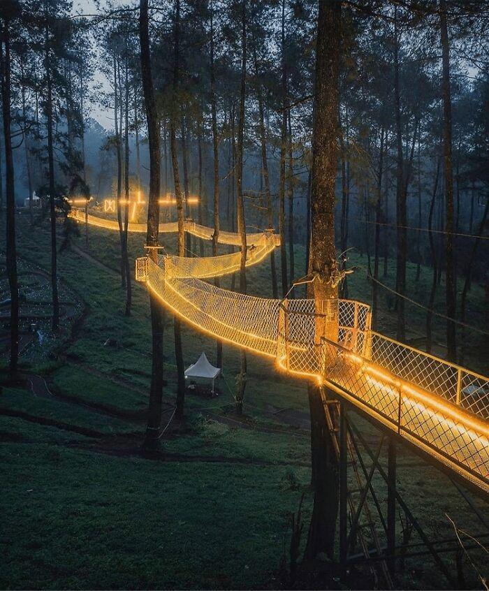 این پل معلق در یکی از جنگل های اندونزی، منظره ای شبیه داستان های پریانی ایجاد کرده!