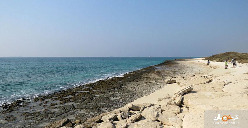 جزیره زیبای شیدور؛از جذاب ترین جزیره های خلیج فارس، عکس