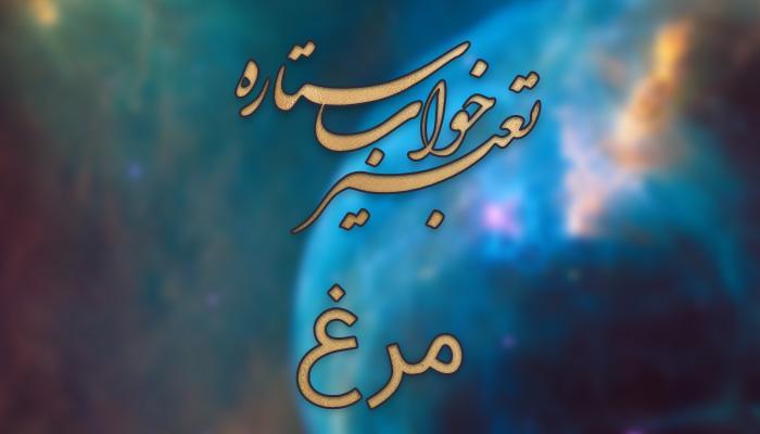 تعبیر خواب مرغ - دیدن مرغ خانگی در خواب چه تعبیری دارد؟