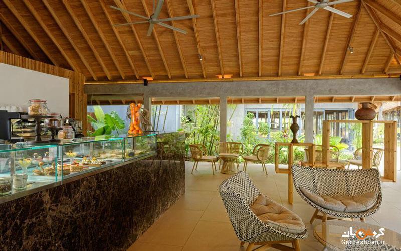 آی تی ای مافوشیوارو؛هتلی رویایی در جزیره مالدیو، اقامت وسط دریا و معاشرت با حیوانات دریایی، تصاویر