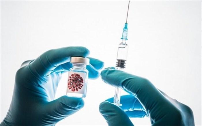 سلاخی کوسه ها برای ساختن واکسن کرونا