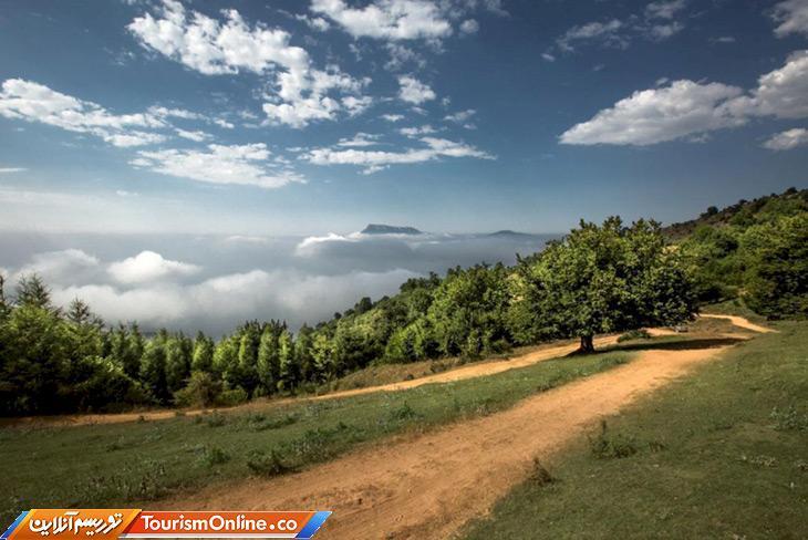 نجات زوج گمشده در جنگل ابر شاهرود