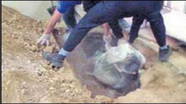 مدفون کردن برادر کف سالن پذیرایی