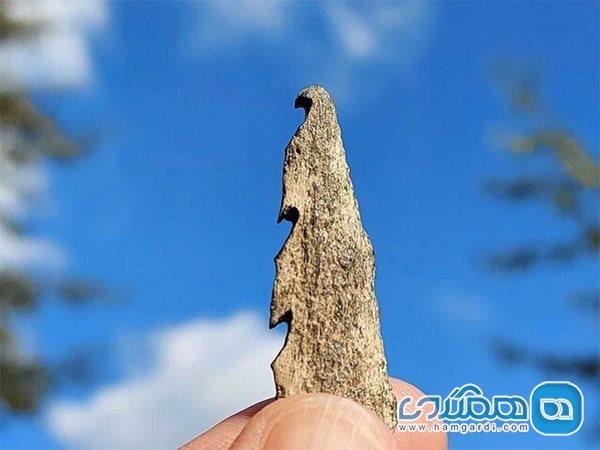 سلاح هایی از جنس استخوان انسان کشف شدند سلاح هایی از جنس استخوان انسان کشف شدند
