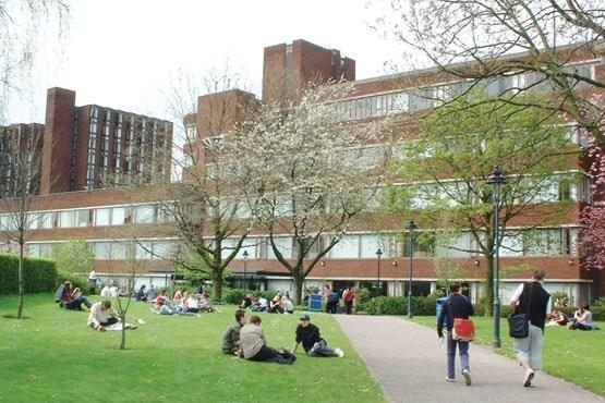 اسامی دانشگاه های سبز ایران منتشر شد