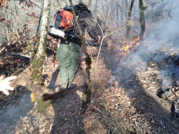 دره شمالی جنگل گلستان گرفتار آتش ، آب پاشی هوایی هلال احمر برای مناطق صعب العبور شروع شد
