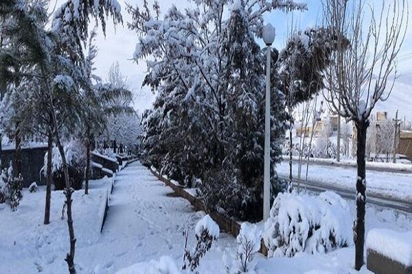 البرز برفی می شود