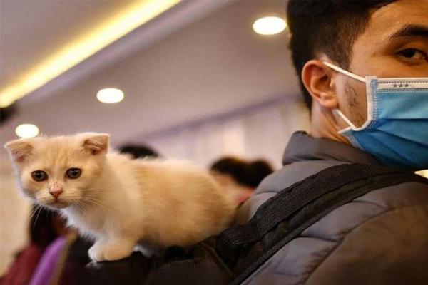 ارتباط با حیوانات خانگی را محدود کنید