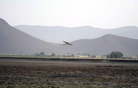 حال تالاب چم شور خوب نیست