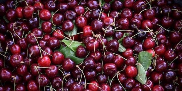 قیمت نجومی میوه های نوبرانه