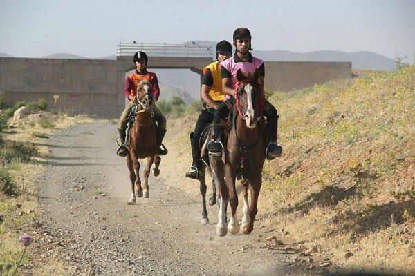 مسابقات اسب سواری استقامت در مشگین شهر برگزار گردید