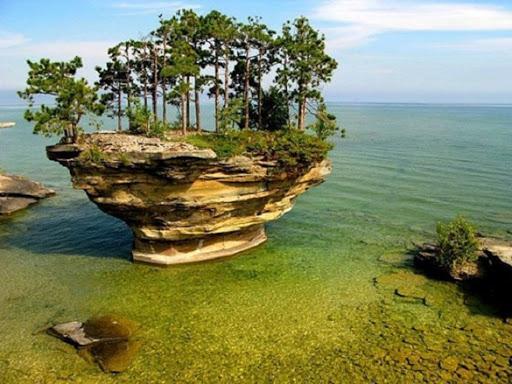 شگفتی های آفرینش در نهج البلاغه